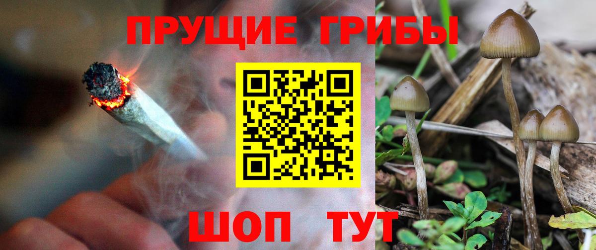 Сыктывкар  Галлюциногенные грибы мухоморы  Вход с VPN 